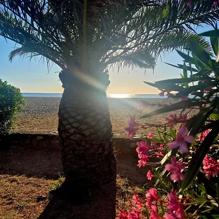 Διαμέρισμα Maisonette Avec Cours Privative Dans Securisee Avec Piscine Canet-en-Roussillon